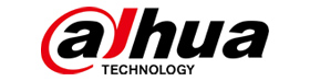 Dahua Cameras